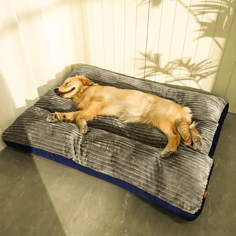 Ergonomisches Hundekissen – orthopädisches & waschbares Hundebett