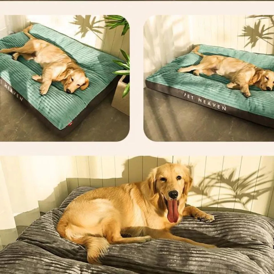 Ergonomisches Hundekissen – orthopädisches & waschbares Hundebett