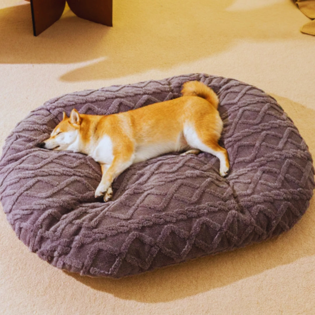 Kuscheliges Haustierbett – weiches Bett für Katzen & Hunde