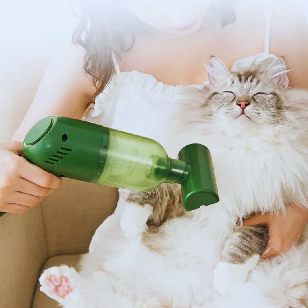 Handstaubsauger für Tierhaare – kabellos & stark