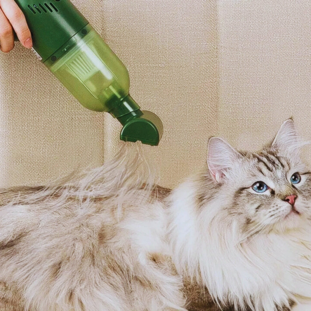 Handstaubsauger für Tierhaare – kabellos & stark