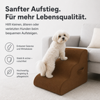 Hundetreppe für Sofa & Bett – weniger Springen im Alltag