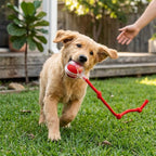 Interaktiver Spielball – Smart Pet Spielzeug für Hunde & Katzen