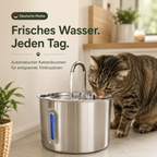 Katzen Trinkbrunnen – Frisches Wasser automatisch