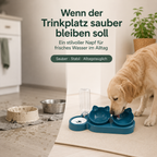 Wassernapf für Hunde & Katzen – Rutschfest & Praktisch