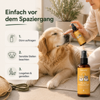 Sonnencreme für Hunde – Schutz für Nase, Ohren & Haut