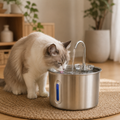 Katzen Trinkbrunnen – Frisches Wasser automatisch