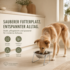 Erhöhter Futternapf für Hunde – bequemer fressen & trinken