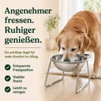 Erhöhter Futternapf für Hunde – bequemer fressen & trinken