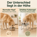 Erhöhter Futternapf für Hunde – bequemer fressen & trinken