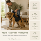Tragegeschirr für Hunde – Unterstützung beim Aufstehen & Treppensteigen