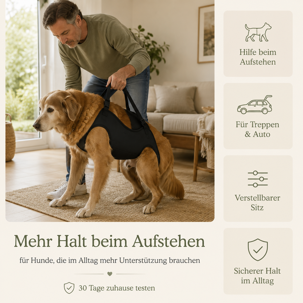 Tragegeschirr für Hunde – Unterstützung beim Aufstehen & Treppensteigen