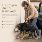 Tragegeschirr für Hunde – Unterstützung beim Aufstehen & Treppensteigen