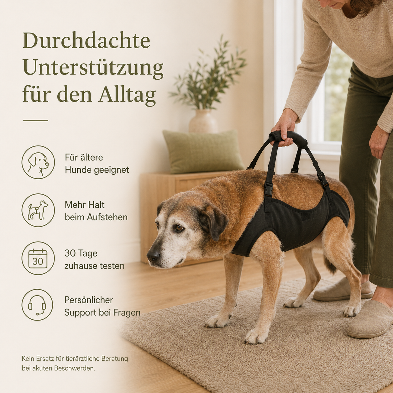 Tragegeschirr für Hunde – Unterstützung beim Aufstehen & Treppensteigen