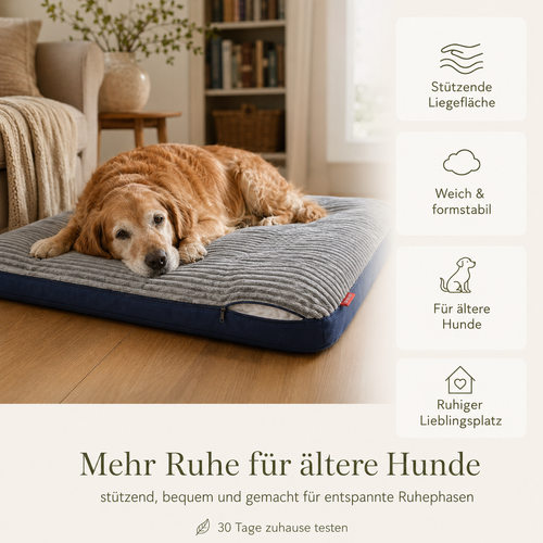Orthopädisches Hundebett – stützender Liegekomfort