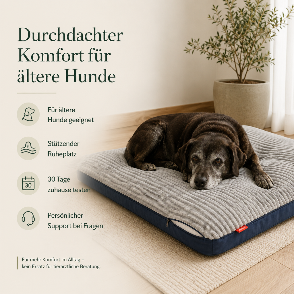 Orthopädisches Hundebett – stützender Liegekomfort