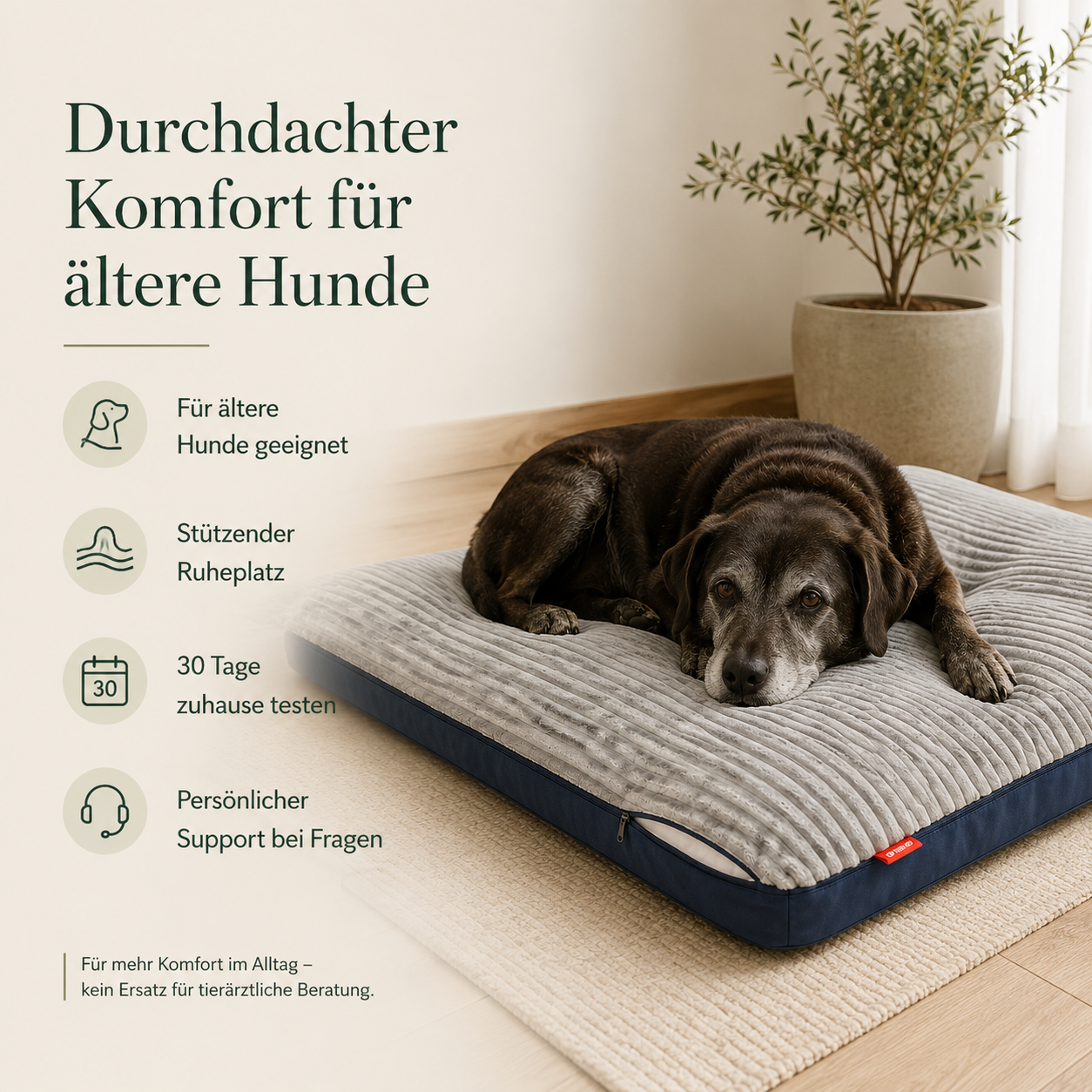Orthopädisches Hundebett – stützender Liegekomfort