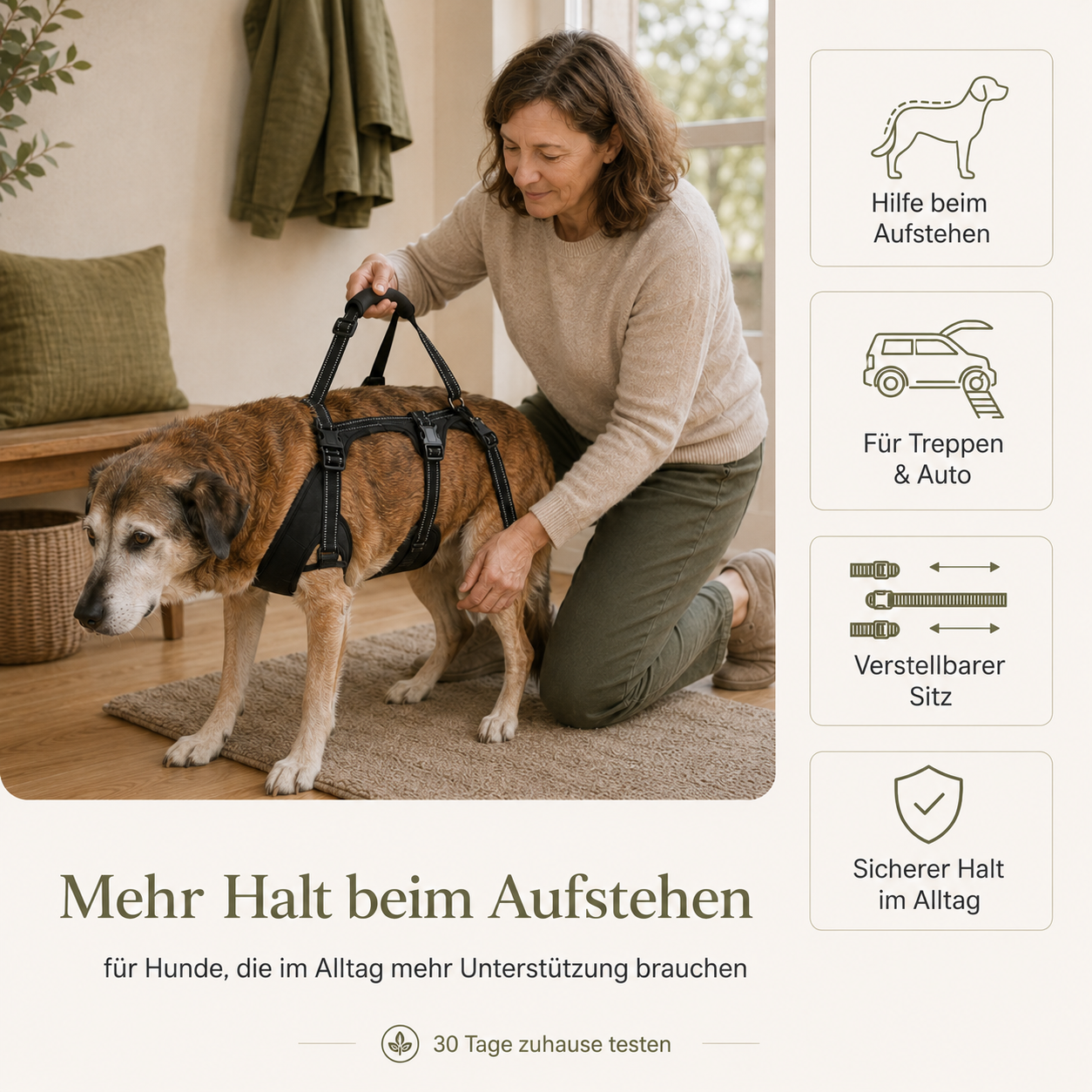Hunde-Tragegeschirr – leichter helfen im Alltag
