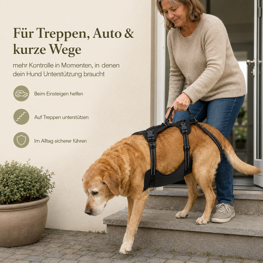 Hunde-Tragegeschirr – leichter helfen im Alltag