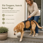 Hunde-Tragegeschirr – leichter helfen im Alltag