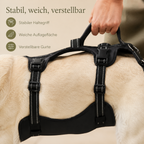 Hunde-Tragegeschirr – leichter helfen im Alltag