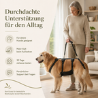 Hunde-Tragegeschirr – leichter helfen im Alltag