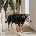 Hunde-Tragegeschirr – leichter helfen im Alltag