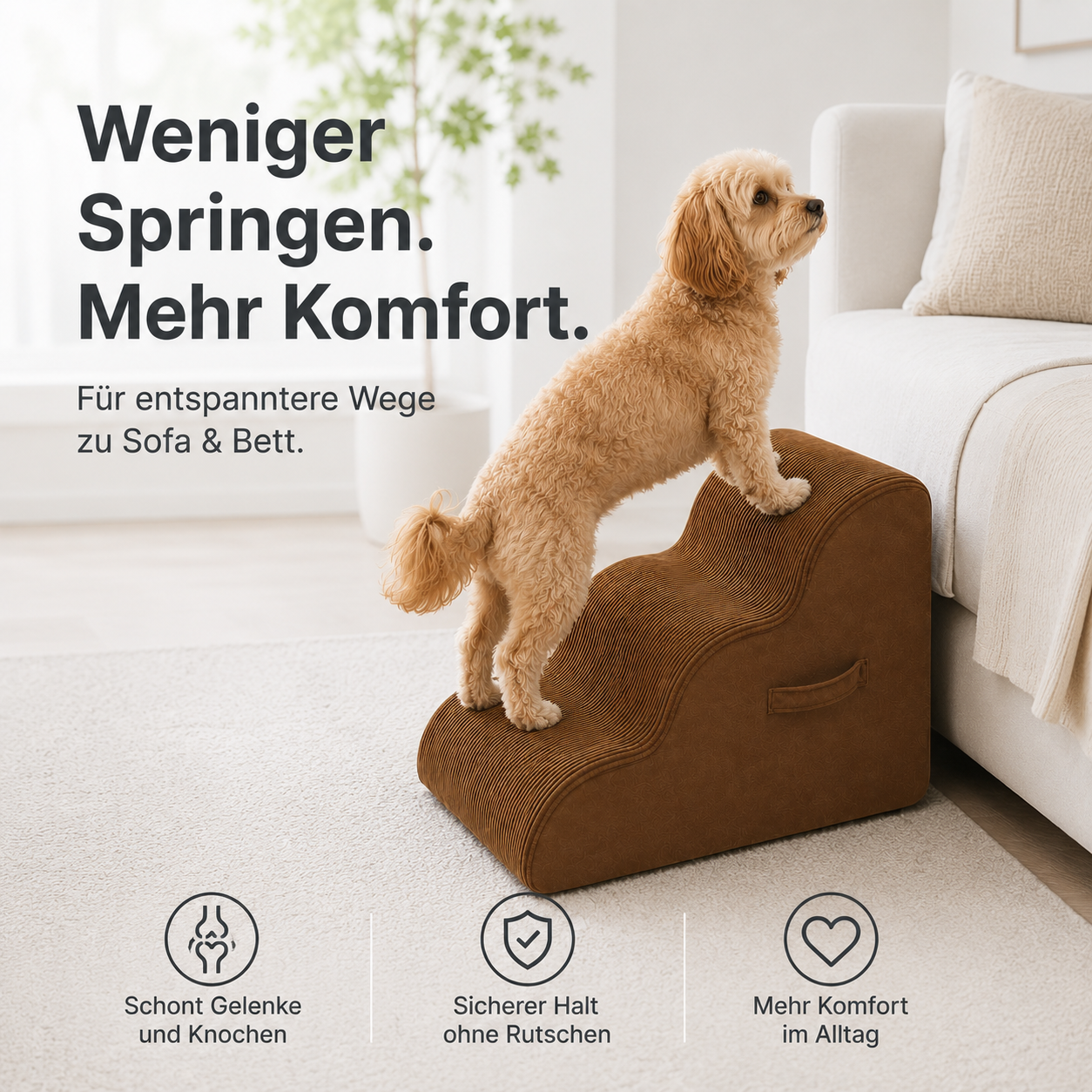 Hundetreppe für Sofa & Bett – weniger Springen im Alltag