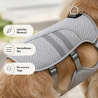 Hundekühlweste für Sommer-Spaziergänge