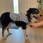 Hundekühlweste für Sommer-Spaziergänge
