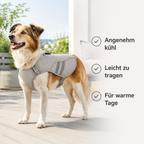 Hundekühlweste für Sommer-Spaziergänge
