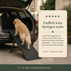 Klappbare Hunderampe fürs Auto – leichter Einstieg ohne Springen