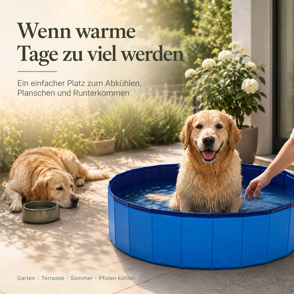 Faltbarer Hundepool für Garten & Terrasse