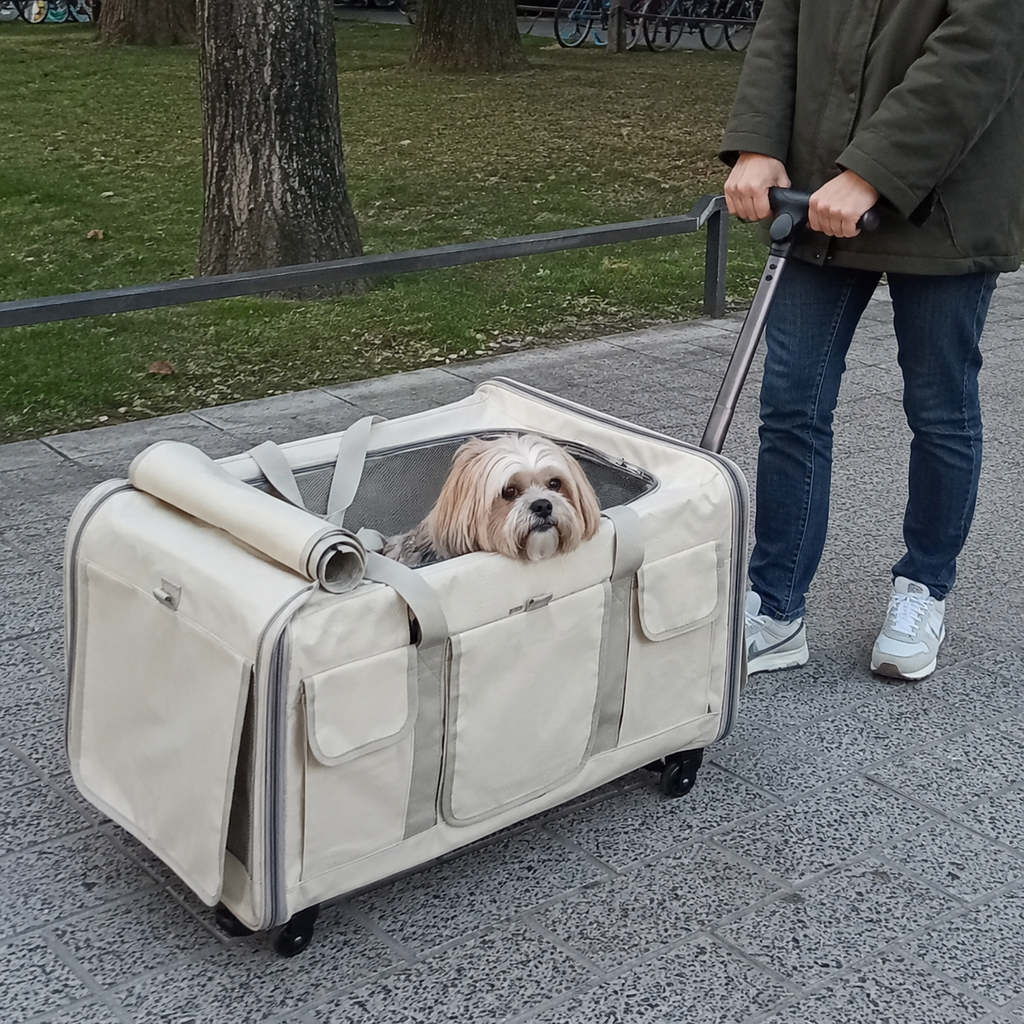 Hundebuggy für kleine Hunde – Komfortabler Haustierwagen