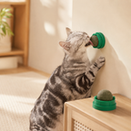 Katzenminze Ball für die Wand – Spielspaß für Katzen