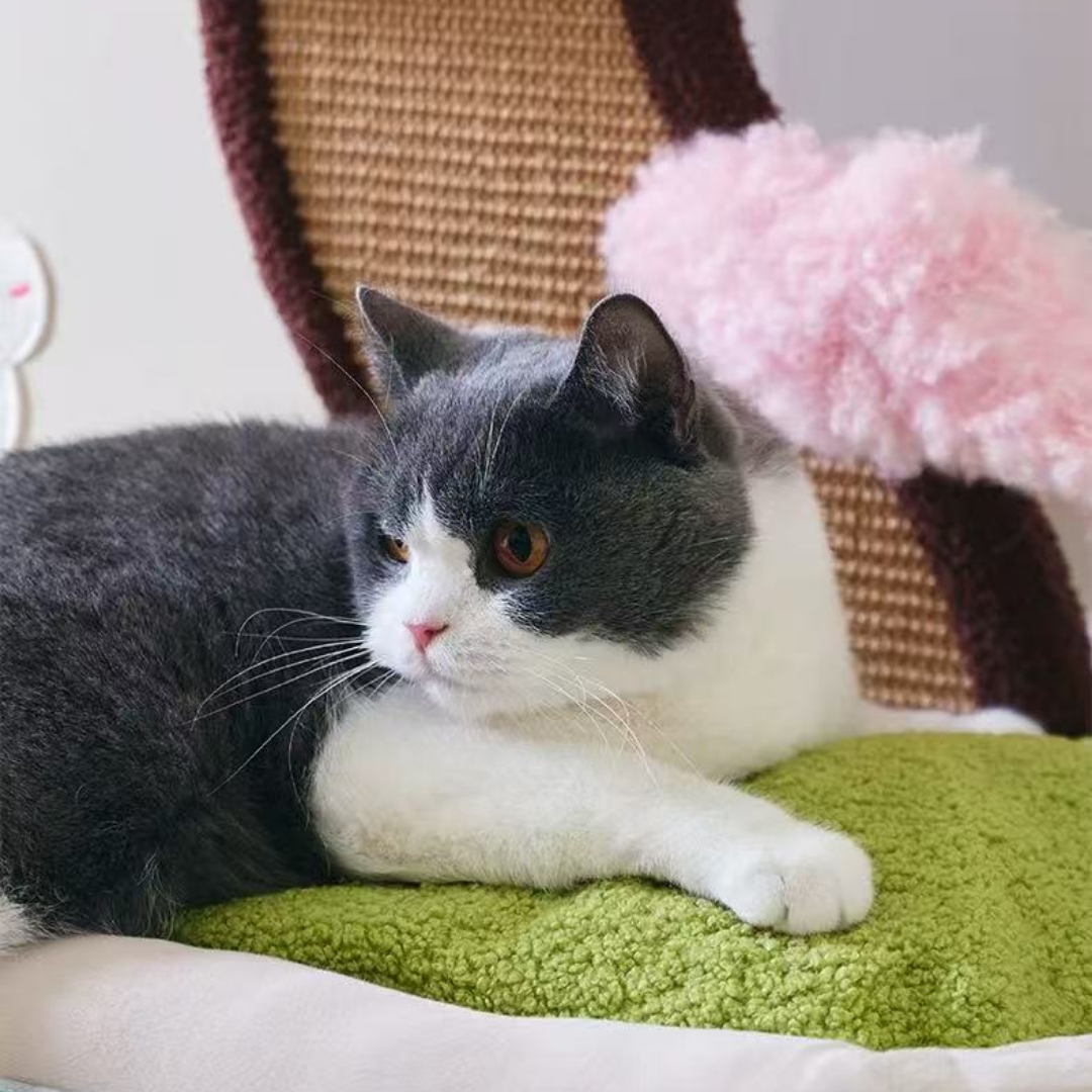 Katzenbett mit Kratzbaum – modernes Katzenmöbel