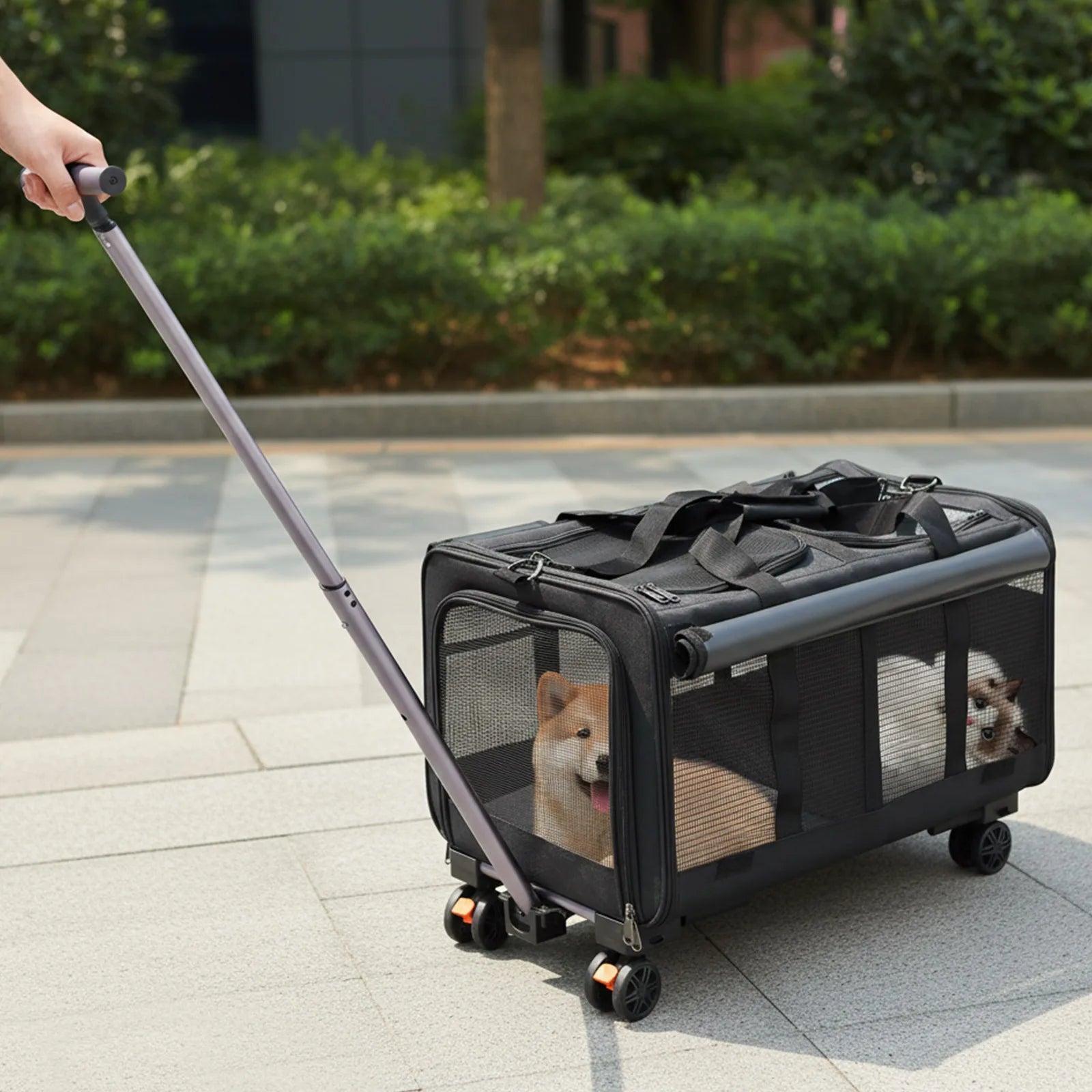 Transportbox Katze & Hund faltbar