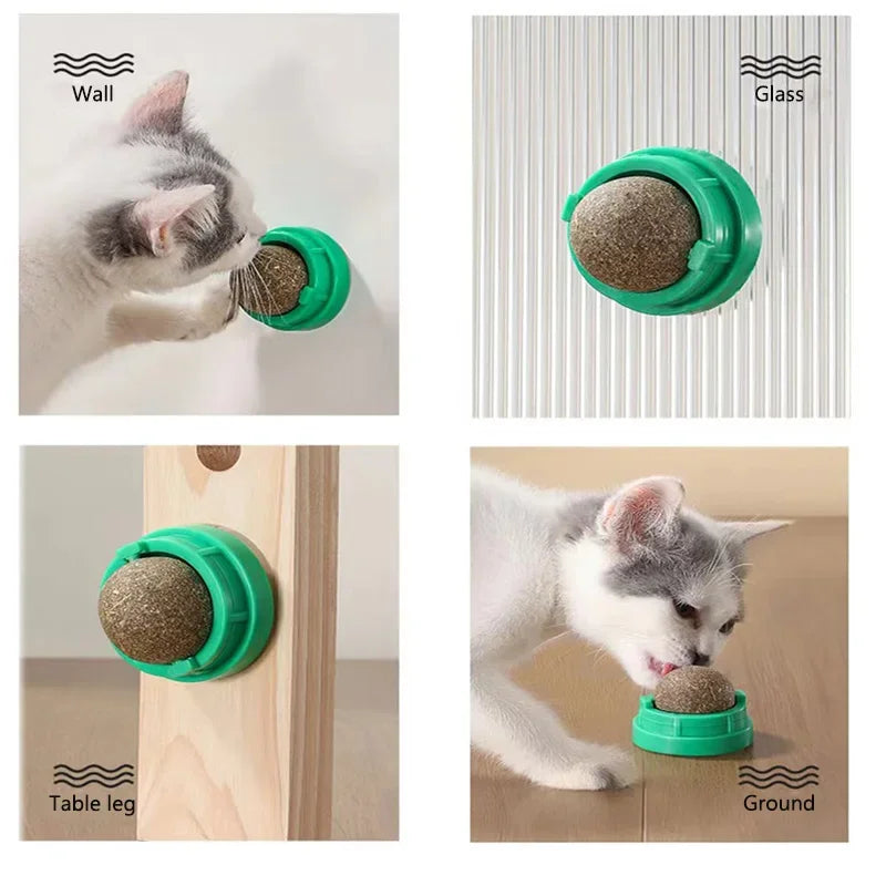 Katzenminze Ball für die Wand – Spielspaß für Katzen