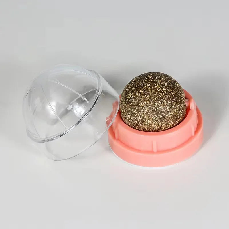 Katzenminze Ball für die Wand – Spielspaß für Katzen