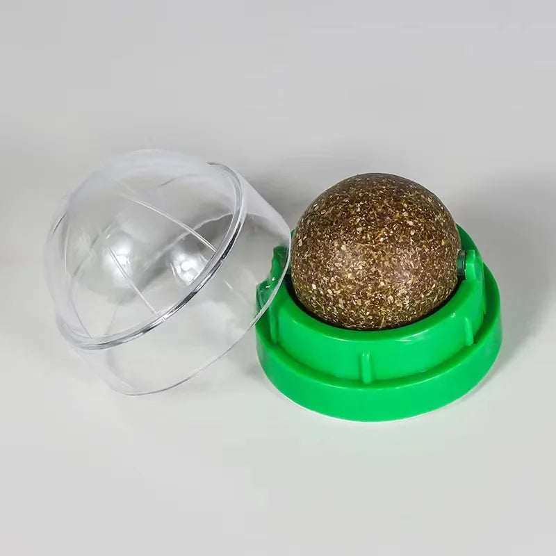 Katzenminze Ball für die Wand – Spielspaß für Katzen
