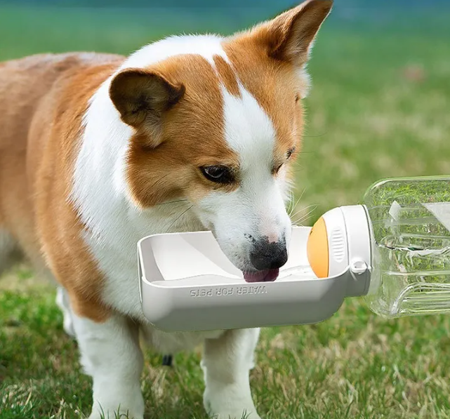 2-in-1 Hundetrinkflasche – Wasserflasche mit Napf