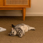 Große Sisal Kratzmatte für Katzen – Rutschfest & Vielseitig – rutschfest & vielseitig