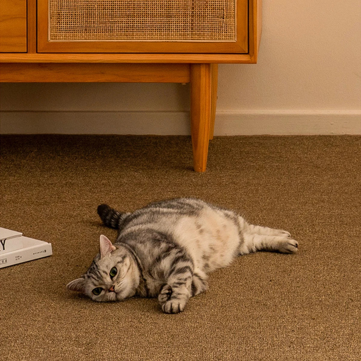 Große Sisal Kratzmatte für Katzen – Rutschfest & Vielseitig – rutschfest & vielseitig