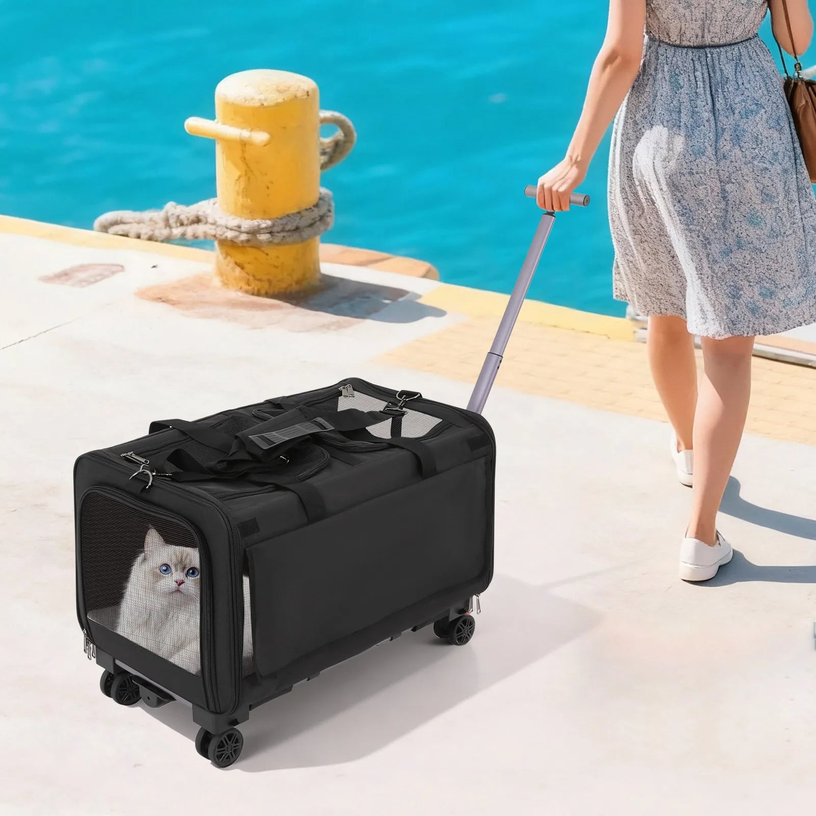 Transportbox Katze & Hund faltbar