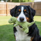 Hundespielzeug T-Rex – langlebig & bissfest PurePet