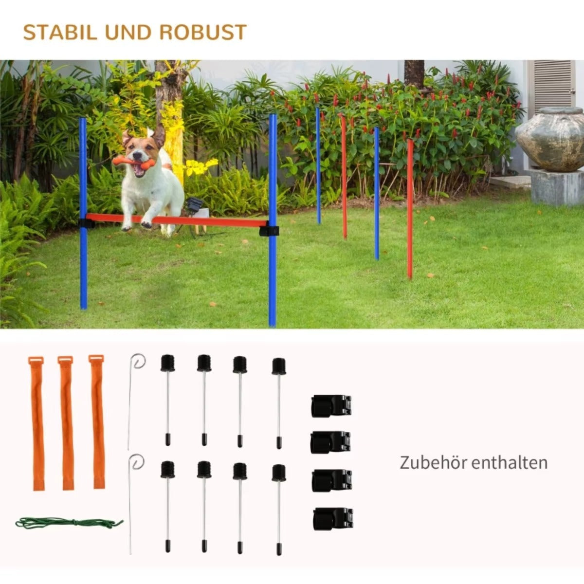 Hunde Agility Trainingsset 4-teilig