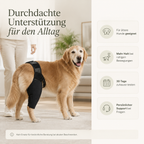 PurePet JointFlex Gelenk-Bandagen für Hunde zur Stabilisierung der Gelenke 8