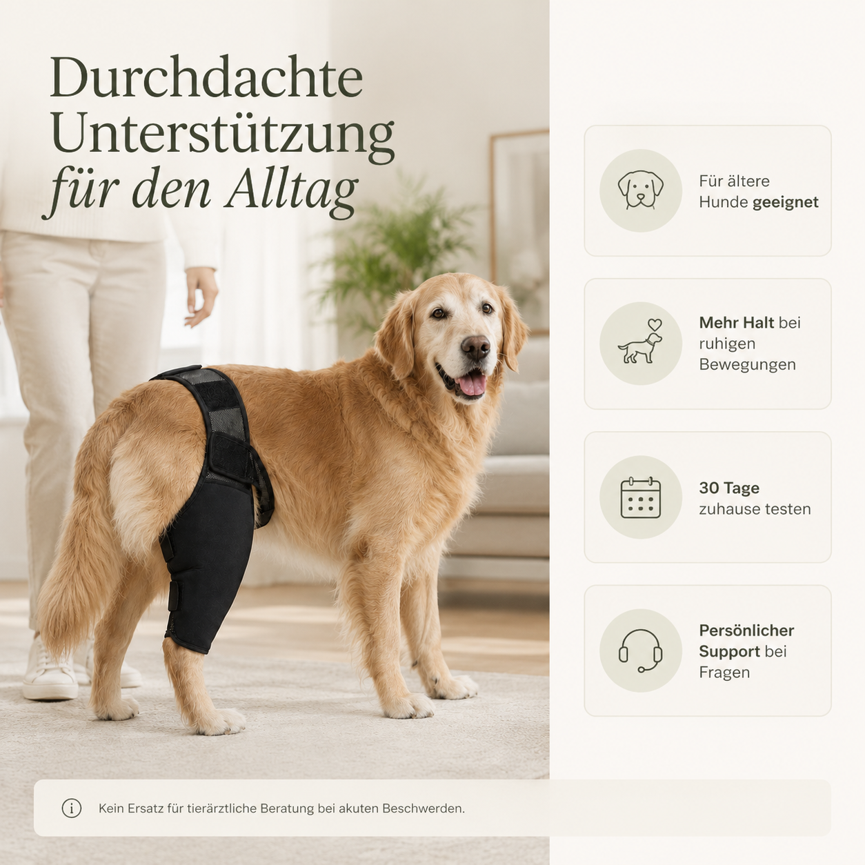 PurePet JointFlex Gelenk-Bandagen für Hunde zur Stabilisierung der Gelenke 8